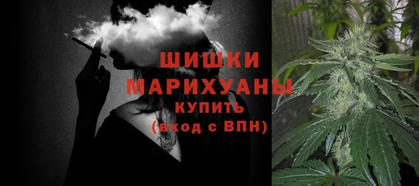 mdpv Волоколамск