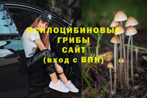 не бодяженный Волосово