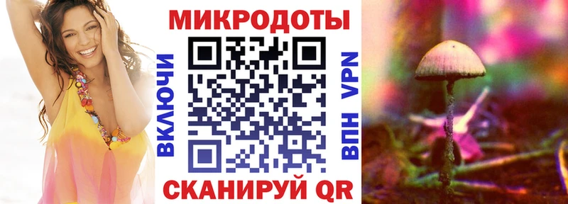 купить наркоту  Южно-Сухокумск  Псилоцибиновые грибы Psilocybe 